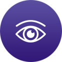 VISUALIZE_icon
