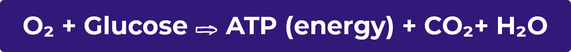 equation equation