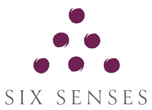 6-senses-logo