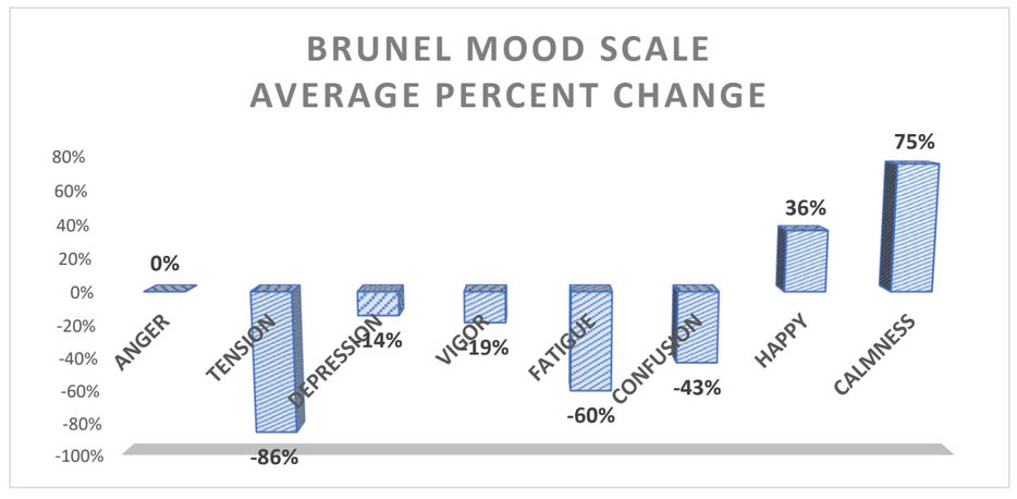 BRUNEL MOOD SCALE AVERAGE PERCENT CHANGE Graph