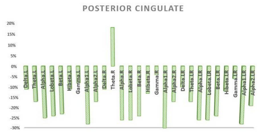 POSTERIOR CINGULATE Graph