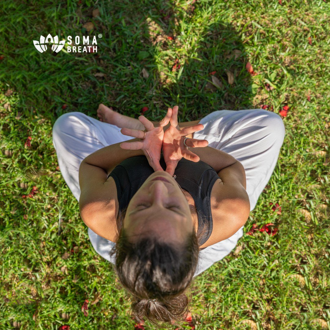 Understanding the Core Differences Soma Breath