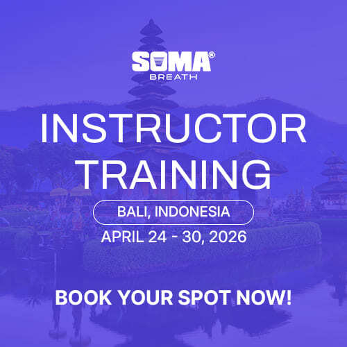 bali 500 x 500