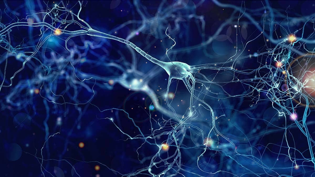 What Happens to Your Brain During Breathwork